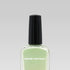 #color_41-citron-vert