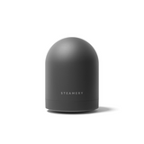 #color_steamery-black