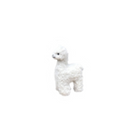 #color_off-white