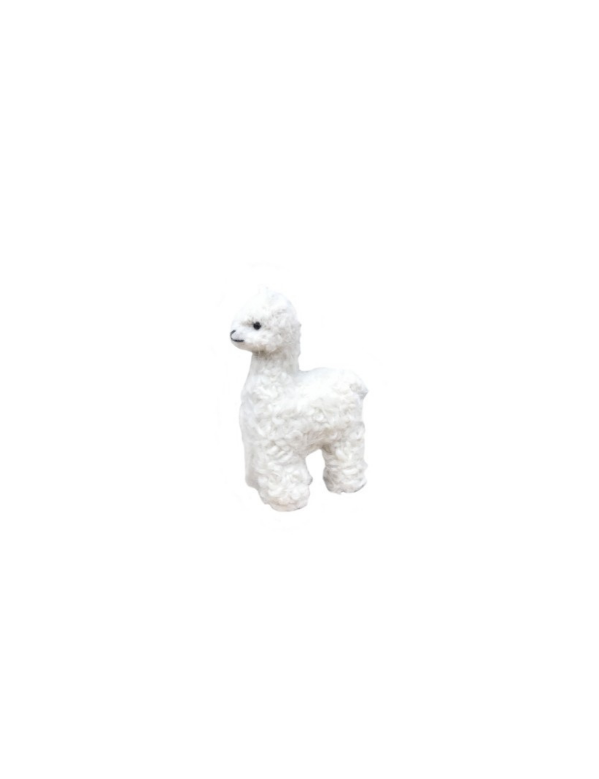 #color_off-white