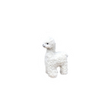 #color_off-white