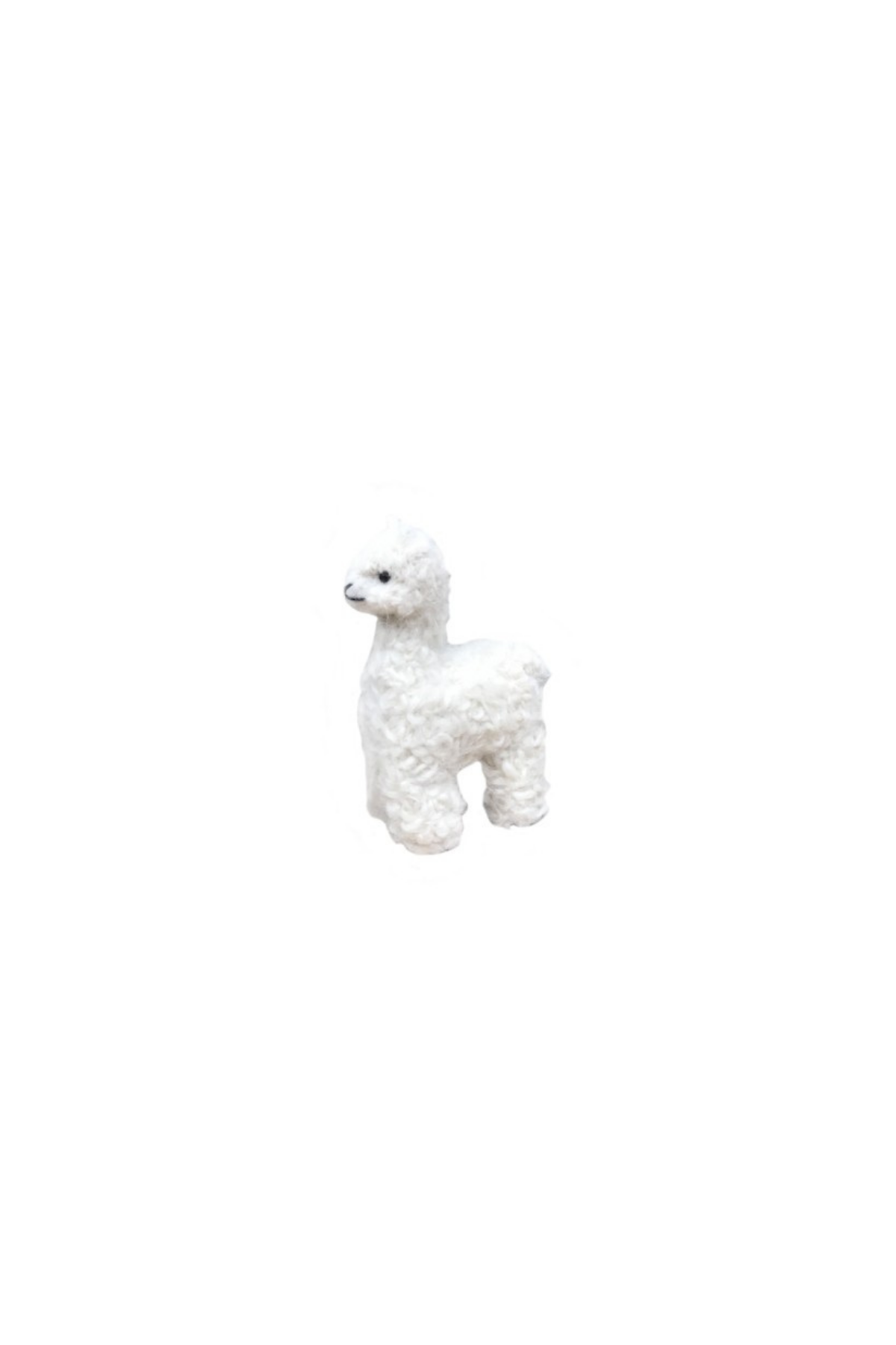 #color_off-white